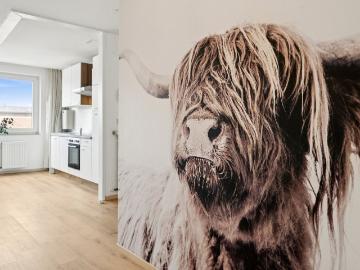 Hellohome • Castle View Apartment • Winter Garden, Braunschweig Amsterdam Apartments for Rent