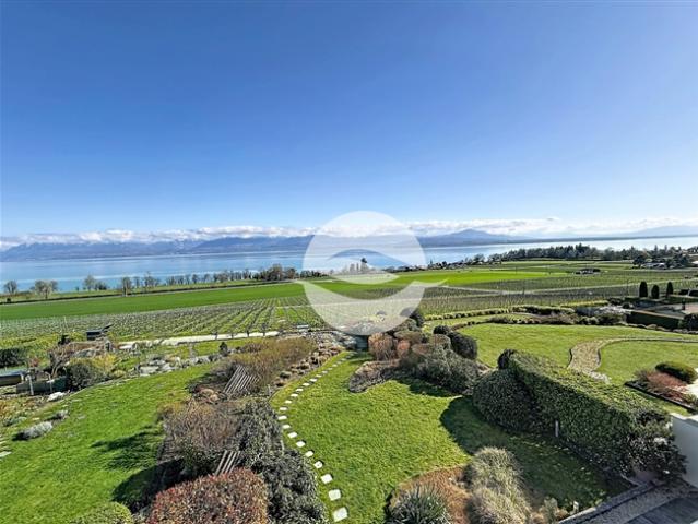 Wunderschönes möbliertes Apartment mit Blick auf den See und die Alpen
