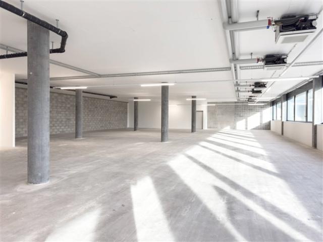 Hervorragende Werkstattflächen ab 150m2 zu vermieten in Plan les Ouates