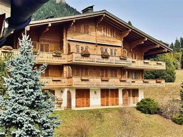 Château-d'Œx, District de la Riviera-Pays-d’Enhaut, Kanton Freiburg
