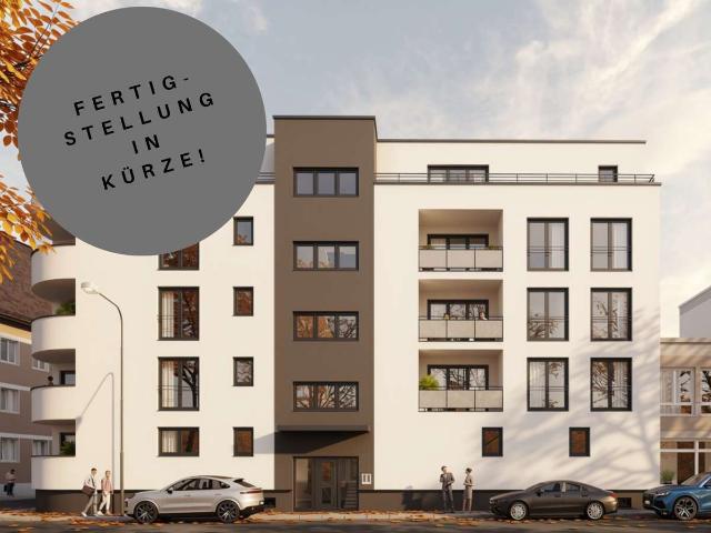 HERZOG1 IN KÜRZE BEZUGSFERTIG!