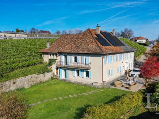Herzstück! Grosszügige Villa mit Garten und freiem Blick