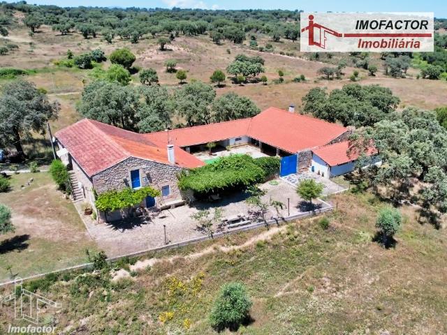 Herdade Magnífica Castelo Branco