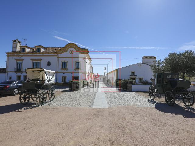 Herdade Monte da Torre, Elvas