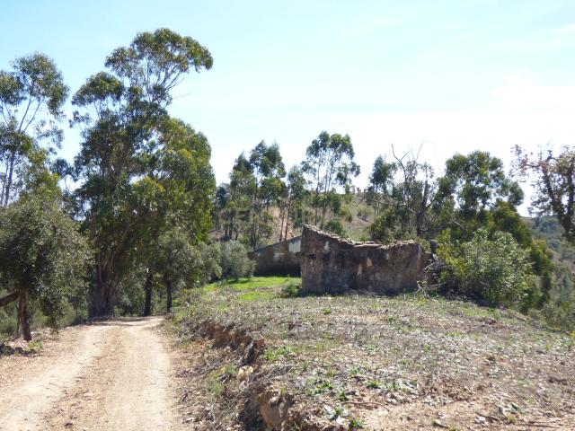 Herdade no Algarve, excelente para turismo rural, ou Habitação. Tem 1000 Sobreiros e agua em abundancia