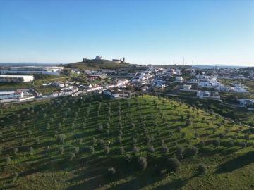 Herdade com 11 Ha em Arraiolos