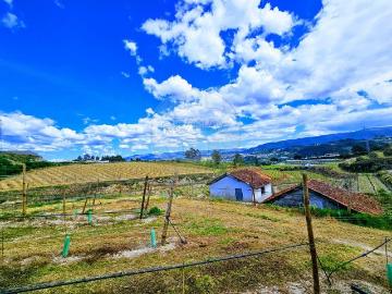 Herdade à venda em Amarante