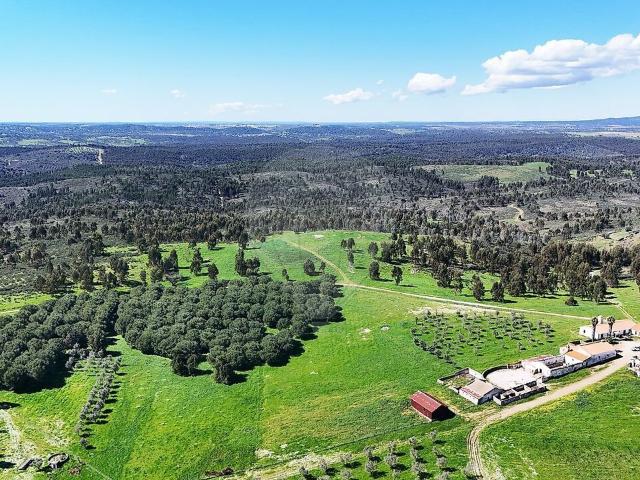 Herdade à venda em Alandroal Nossa Senhora da Conceição, São Brás dos Matos Mina do Bugalho e Juromenha Nossa Senhora do Loreto, Alandroal RE/MAX Portugal
