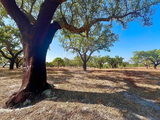 Herdade à venda em Galveias, Ponte de Sor RE/MAX Portugal