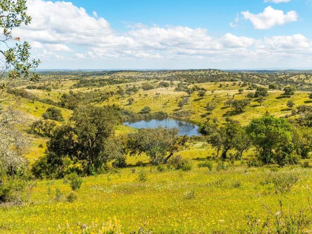 Herdade à venda em Moura