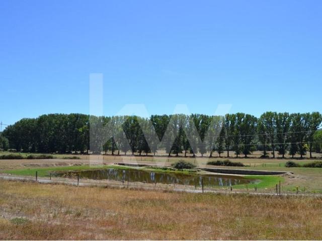 Herdade Agricola com 49ha e Moradia de Familia em Boidobra Covilha