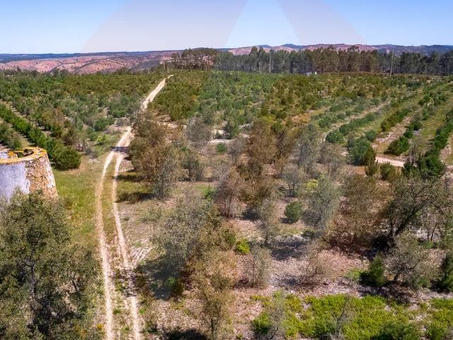 Herdade Agrícola com potencial turístico