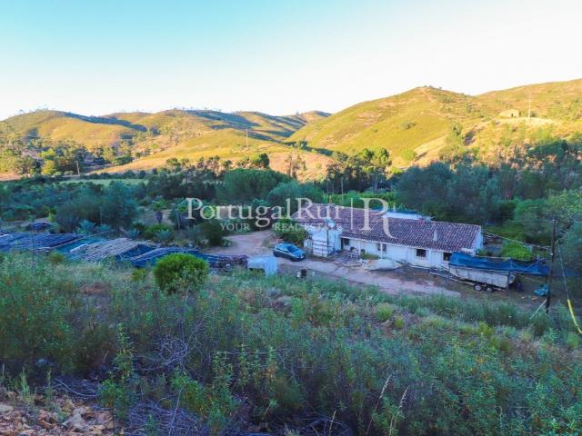 Herdade Algarvia de 29 Hectares com Projeto de Construção Ap. 142m² Silves