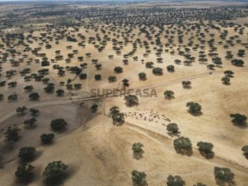 Aljustrel e Rio de Moinhos, Aljustrel, Distrito de Beja