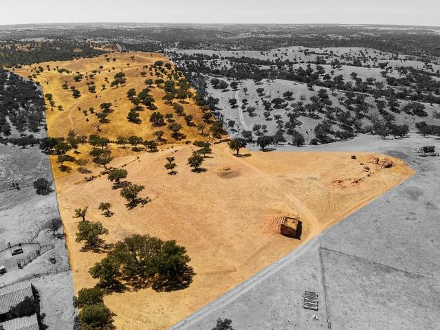HERDADE COM 40 HECTARES NO CORAÇÃO DO ALENTEJO | AGUA SALGADA/ALCARIA RUIVA
