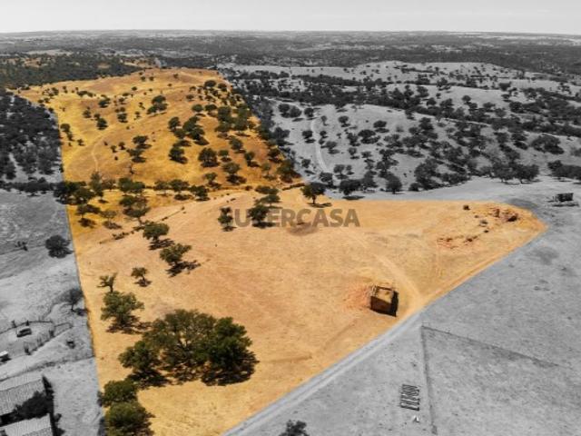 HERDADE COM 40 HECTARES NO CORAÇÃO DO ALENTEJO | AGUA SALGADA/ALCARIA RUIVA