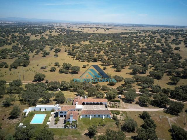 Herdade com 4 hectares Casa Principal Anexos Piscina