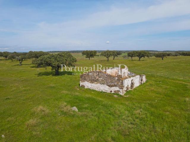 Herdade com 53ha perto do Alandroal 56m² Santiago maior