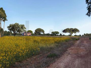Herdade com 54 Hectares na Serra de Odemira: Moradia com pro. 200m² Santa Clara a Velha