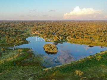Herdade com 55 hectares, Boutique hotel e Lago privado 1035m² Pavia