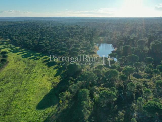Herdade com 659 hectares com montado, pinhal e várzeas em Ve. 450m² Vendas Novas