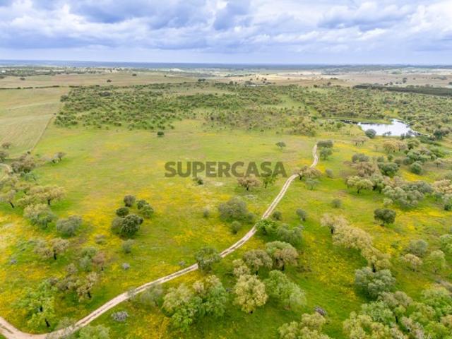 Herdade com 69,625 ha para venda em Alcácer do Sal