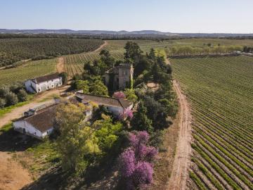 Herdade com 6,5ha e solar em Sousel 0m² Sousel