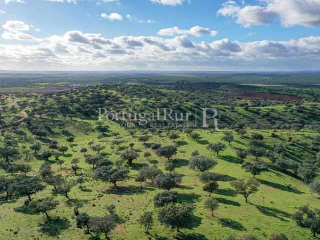 Herdade com 700 hectares, na região de Évora Alentejo 1100m² Évora São Mamede, Sé,São Pedro e Santo Antão