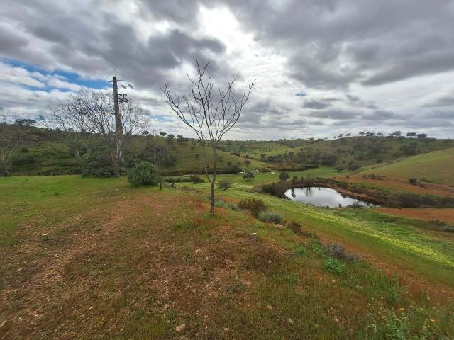 Herdade com 71,1500 hectares de terreno e uma construção