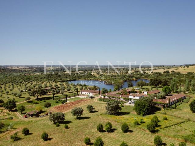 Herdade com 80 hectares e 2000 m2 de construção em Castelo B. 1712m² Escalos de Baixo e Mata