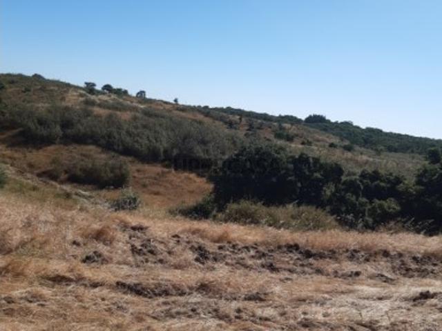 Herdade com 85ha com autorização para casas de campo ou para desenvolvimento hoteleiro 2.770.000€