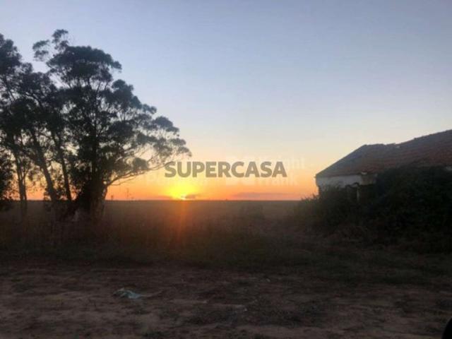 Herdade com 92 hectares, na Zambujeira do Mar