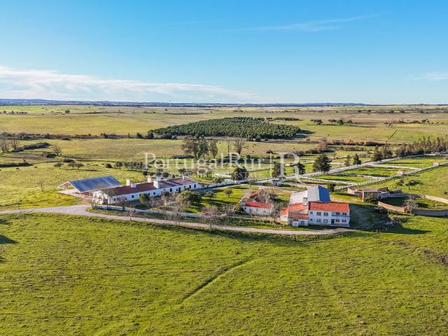 Herdade com 960 hectares na região de Évora 1500m² Évora São Mamede, Sé,São Pedro e Santo Antão