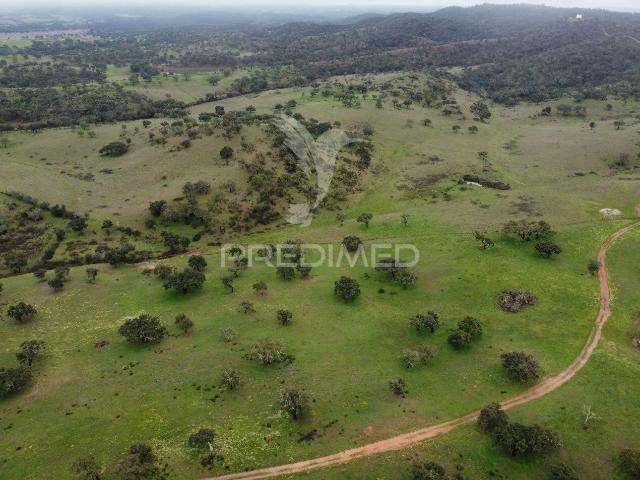 Herdade com 99,45 ha – Odemira, Litoral Alentejano