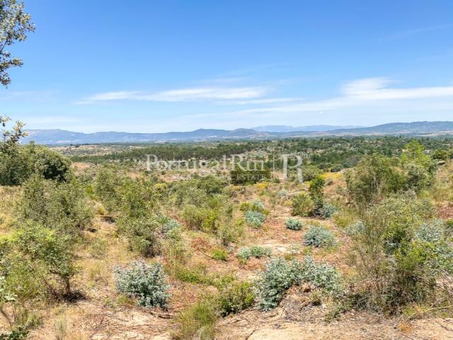 Herdade com 108 hectares em Idanha a Nova