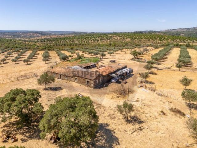 Herdade com 150 ha em Monsanto, Idanha a Nova | Montado de Sobro, Olival e Pinheiro Manso