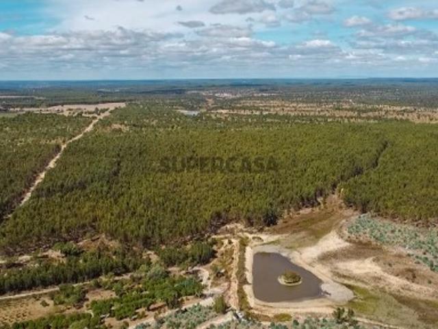 Herdade com 168 hectares em Ponte de Sôr para venda