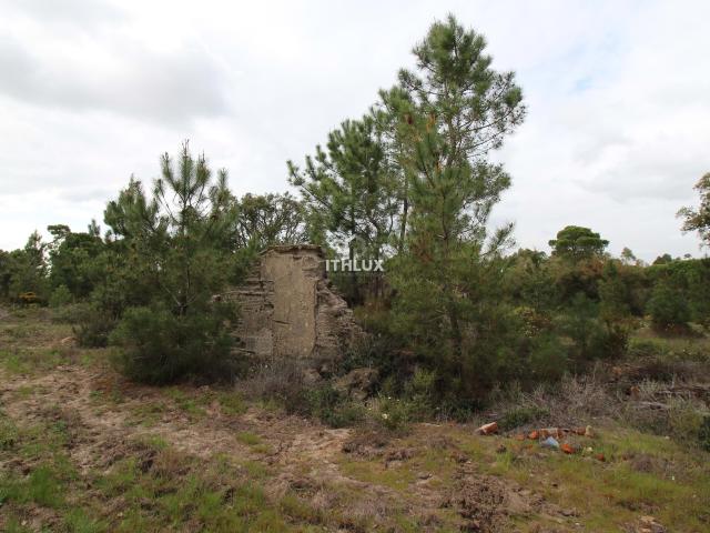 Herdade com 16,1500 ha, na zona da Lagoa de Melides, com viabilidade para implantação de um Turismo Rural