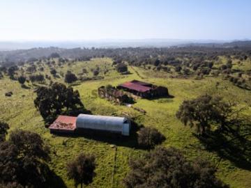 Herdade com 178 ha Projeto Turístico Aprovado na Costa Alentejana