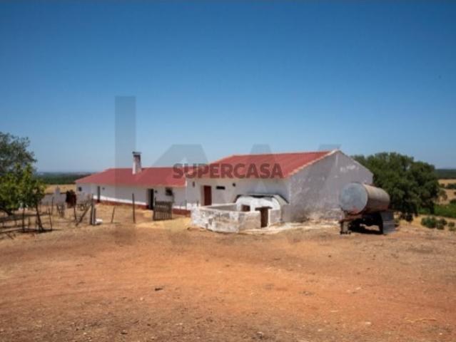 Herdade com 18,8 ha em Montoito | Vinha, Água, Monte Alentejano e Potencial para Turismo Rural