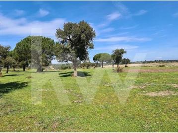 HERDADE COM 190 HA EM BENAVENTE, DISTRITO DE SANTARÉM