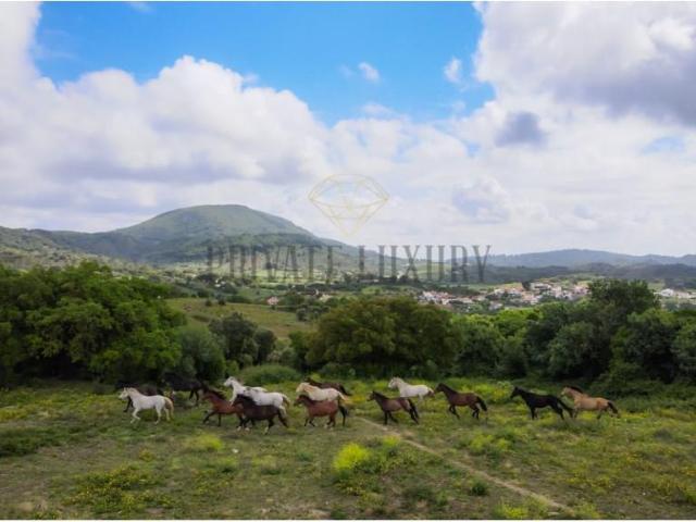 Herdade com 271 hectares na Serra da Arrábida Setubal m² Azeitão são lourenço e são simão