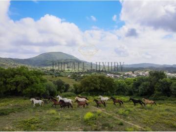 Aldeia Rica, Azeitão, Concelho de Setúbal, Concelho de Setúbal, Distrito de Setúbal