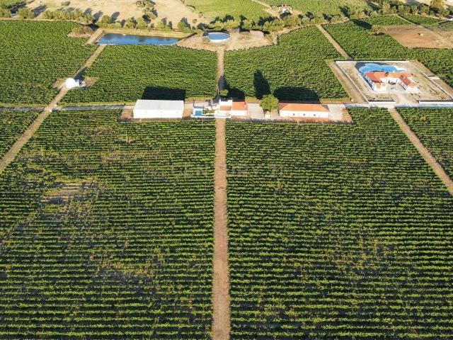 Herdade com 37hect Casa de Luxo no Redondo Évora