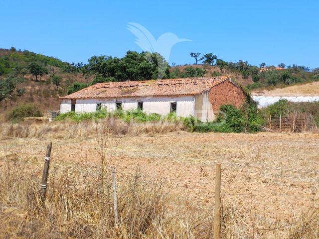 Herdade com 36,9000 ha a 3 Km do Pego das Pias
