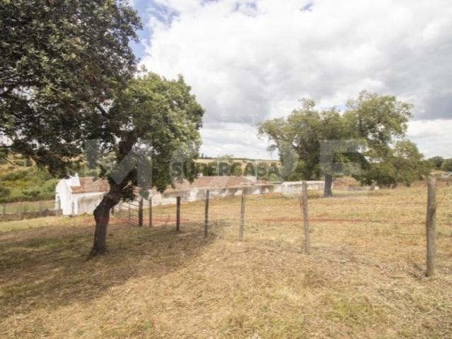 Herdade com 38,5 Hectares Alvito