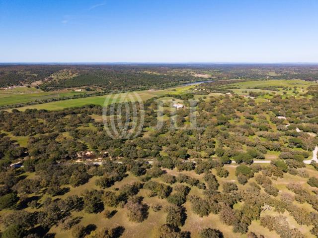 Propriedade com três prédios, Alcácer do Sal, Vale do Guizo