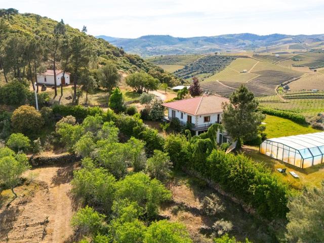 Herdade com Vinha em Vila Nova de Foz Coa 250m² Numão
