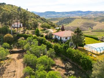 Herdade com Vinha em Vila Nova de Foz Coa 250m² Numão