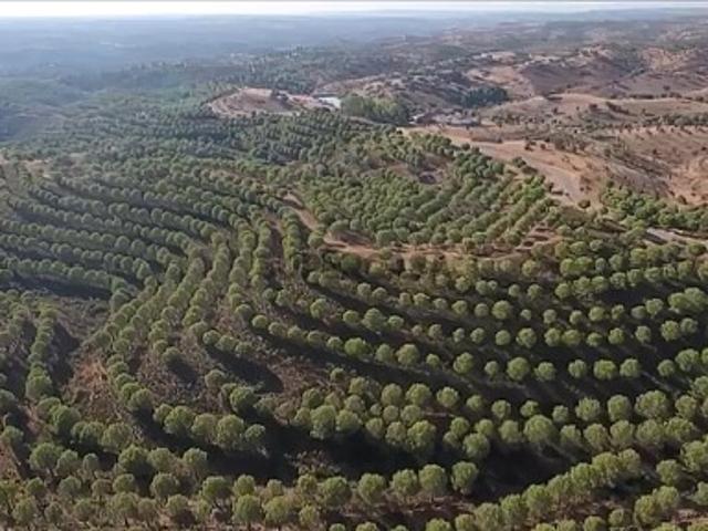 Descubra a sua Herdade dos Sonhos no Alentejo: 135 Hectares de Serenidade e História!